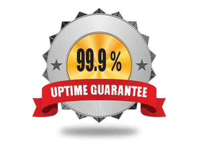 99.9% Uptime Guarantee
